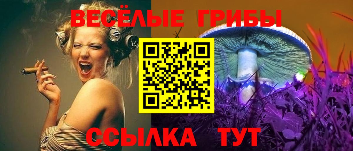Галлюциногенные грибы Magic Shrooms  Галлюциногенные грибы GOLDEN TEACHER  Балахна  Вход с VPN 
